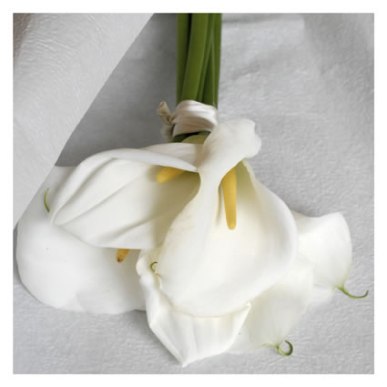 Bouquet Calle - immagine tratta da http://www.maisonstudio.it