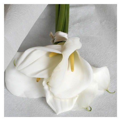 Bouquet Calle - immagine tratta da http://www.maisonstudio.it/sposibrescia/bouquet/pages/bouquet%20053_jpg.htm