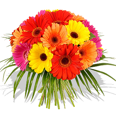 Bouquet di Gerbere - immagine da www.italiainfiore.com