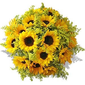 iimmagine tratte da http://fioriefoglie.tgcom24.it/