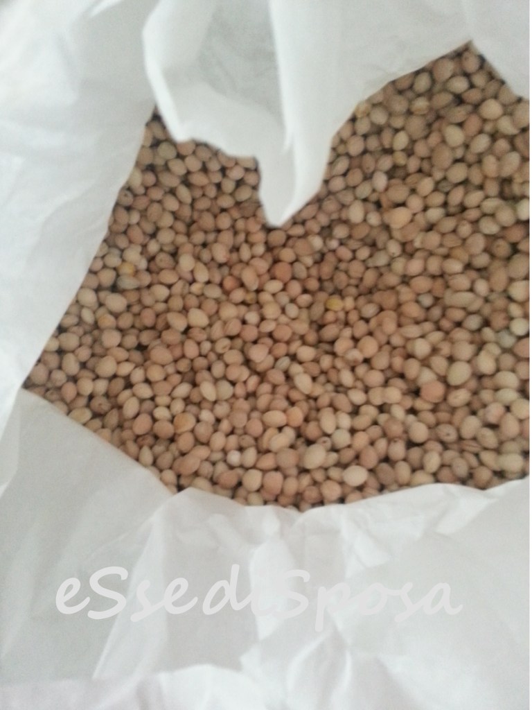 Noccioli di ciliegia eSse di Sposa