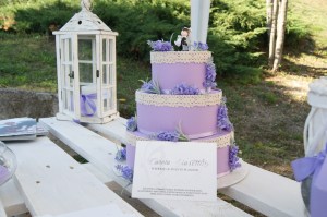 Carola Biasetti Wedding & Events Planner