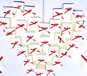 Carola Biasetti Wedding & Events Planner