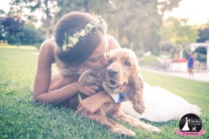 Wedding Dog Sitter