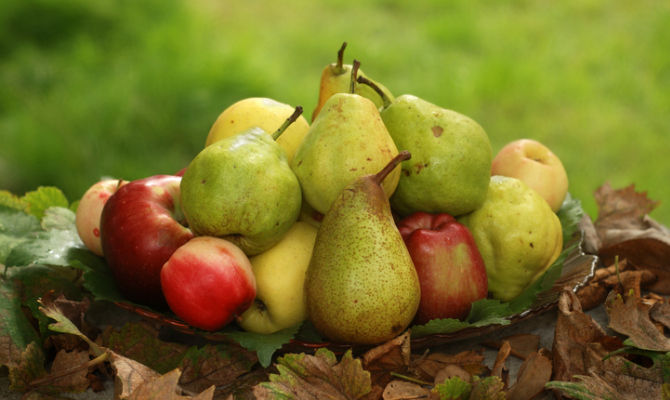 Maschera viso con mela e pera - foto via www.tturismo.it