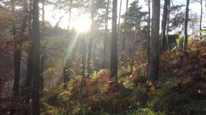 AgriFattoria da Mauro e Chiara