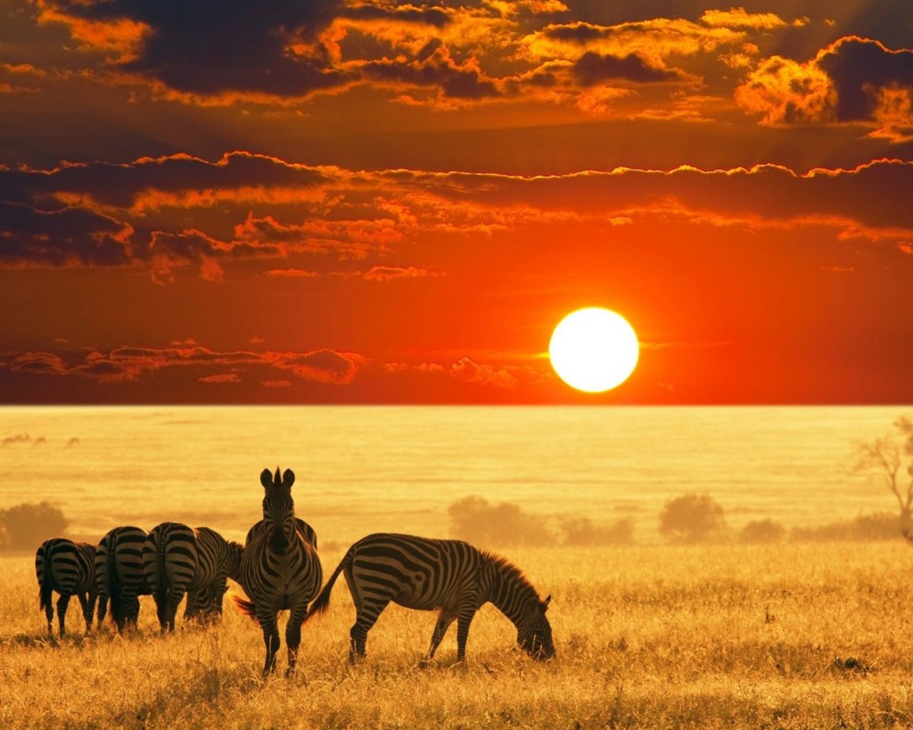 Destinazione Africa - foto via chanceviaggievacanze.it