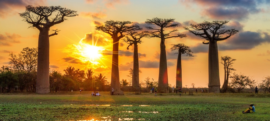 Destinazione Africa - foto via fiordiloto.com