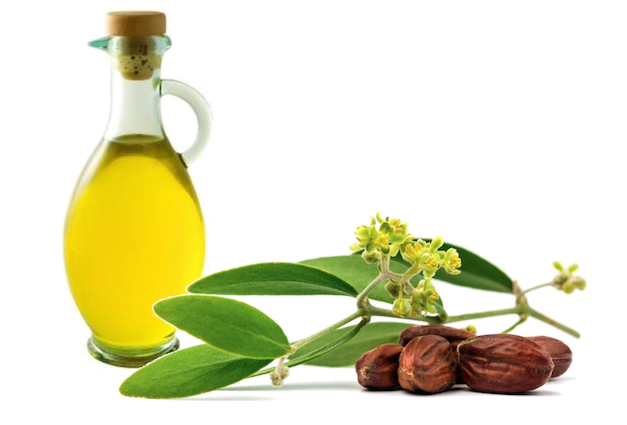 Olio di Jojoba - foto via ideegreen.it