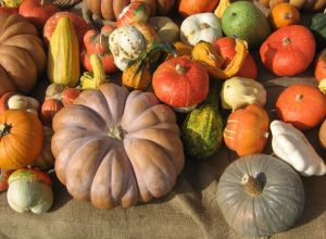 Zucca e beauty- foto via buttalapasta.it