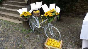 EmMeffeventi - eSse di Sposa