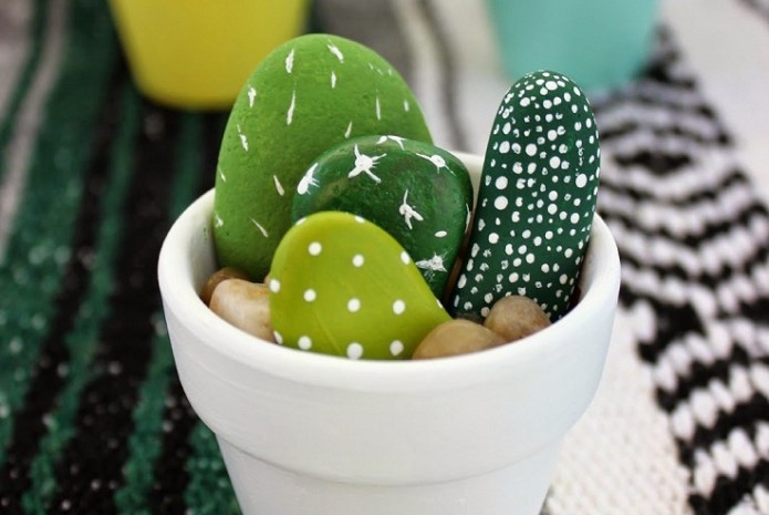 Cactus di sassi - foto via flairflickers.com