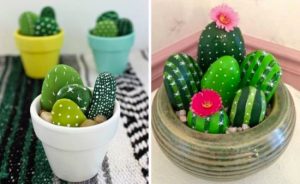 Cactus di sassi - foto via livinglightlyinireland.wordpress.com