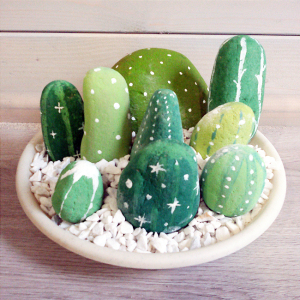 Cactus di sassi - foto via saracreass.wordpress.com