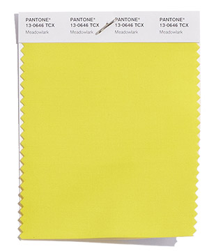 MEADOWLARK PANTONE - foto via pantone.com