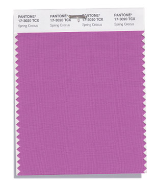 SPRING CROCUS PANTONE - foto via pantone.com