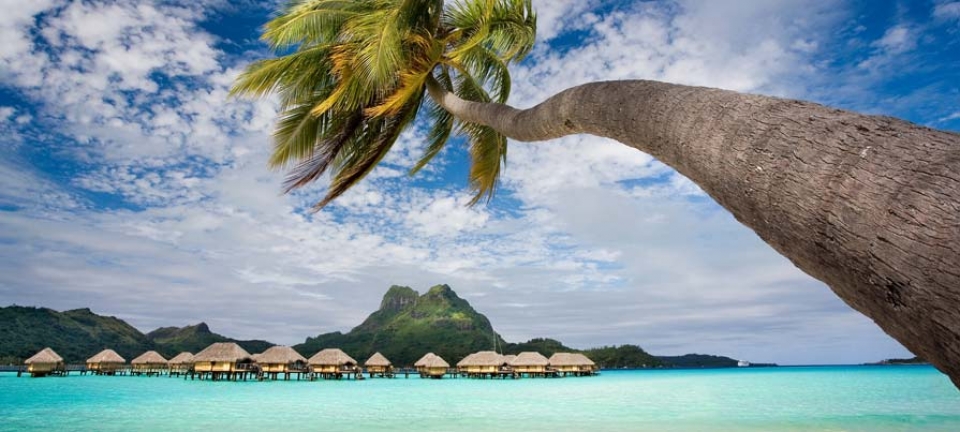 Destinazione Oceania - foto via www.originaltour.it